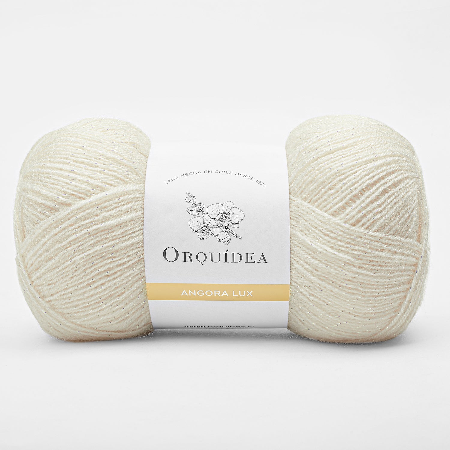 Imagen de diapositiva