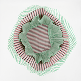 Bolso de Proyecto Orquídea