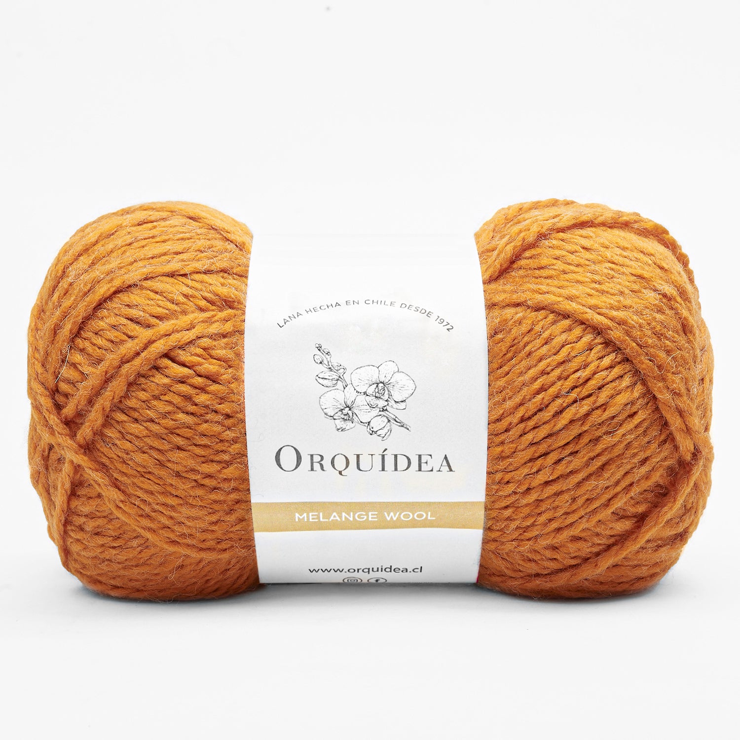 Melange Wool 100 Grs